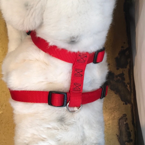 Red Adjustable Dog Harness NWOT - Picture 2 of 3